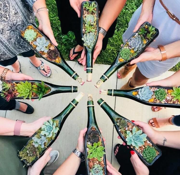 Wine Bottle Succulent planters
